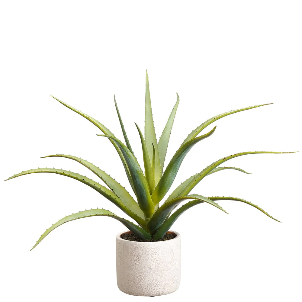 17" Artificial Aloe Plant w/Cement Pot -Green (Pack of 4)