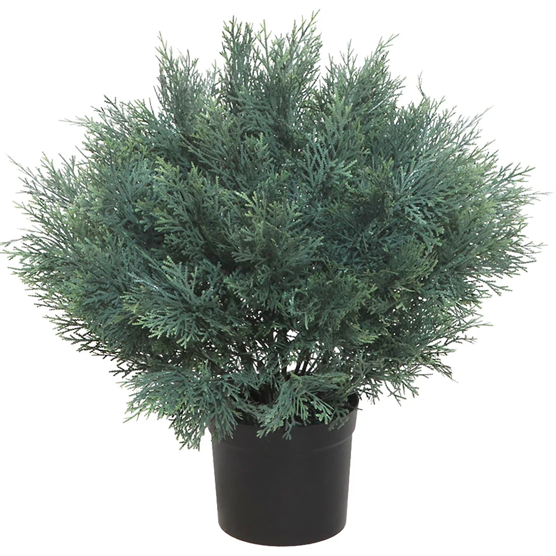 Ball Topiary