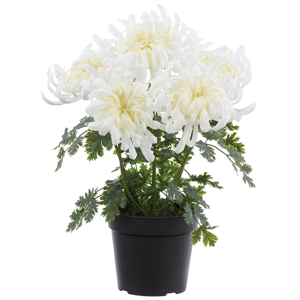 17" Outdoor UV-Resistant Artificial Flowering Chrysanthemum Plant w/Pot -White (Pack of 4)