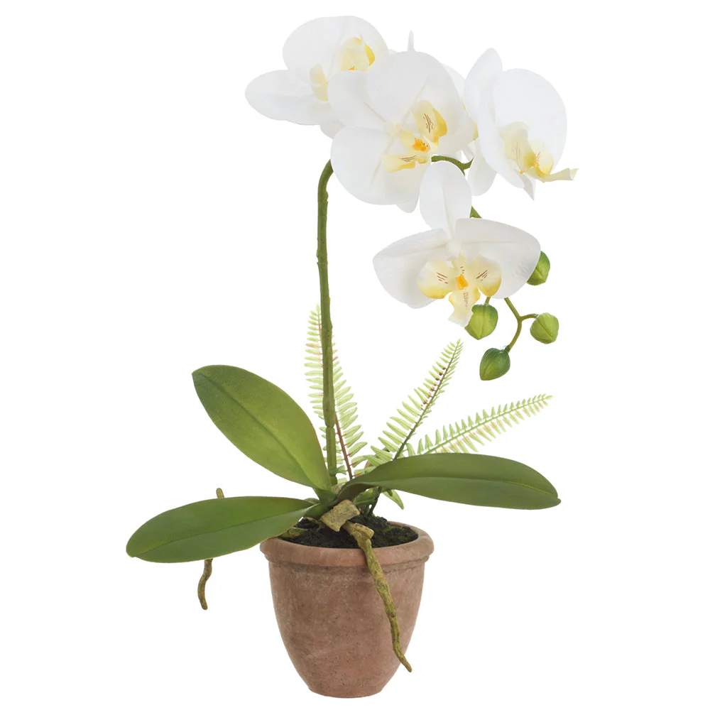 17" Phalaenopsis Orchid Silk Flower Arrangement w/Terra Cotta Pot -White (Pack of 6)