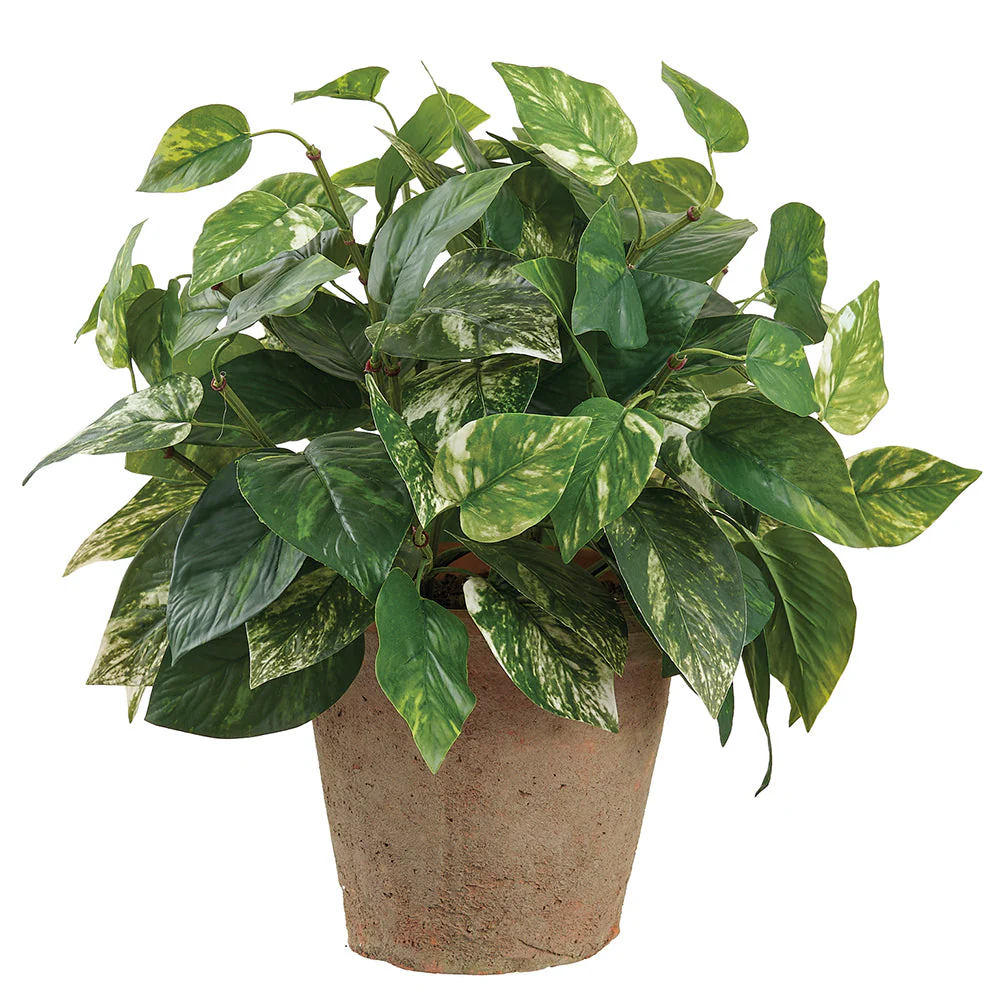 17" Pothos Leaf Silk Plant w/Clay Pot -Green/White (Pack of 2)