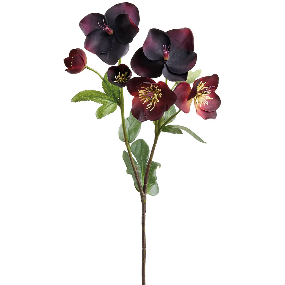 17" Real Touch Helleborus Silk Flower Stem -Plum (Pack of 12)
