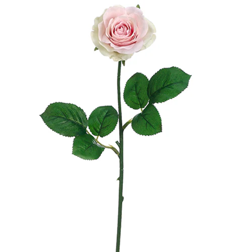 17" Silk Small Tea Rose Flower Spray -Pink/Cream (Pack of 12)