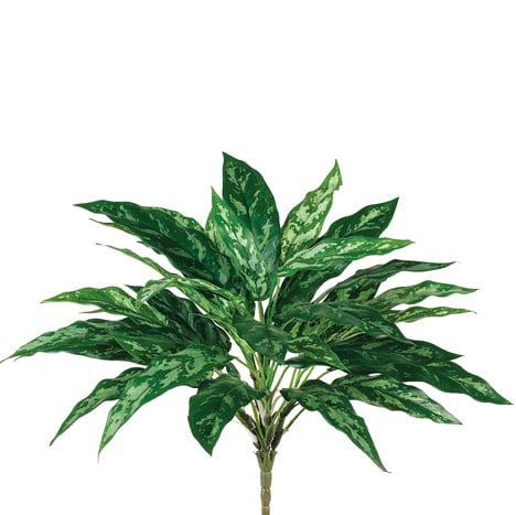 18.5" Aglaonema Silver Queen Silk Plant -Green (Pack of 12)