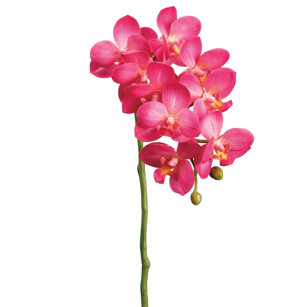 18.5" Hand-Wrapped Silk Small Phalaenopsis Orchid Flower Spray -2 Tone Cerise (Pack of 12)