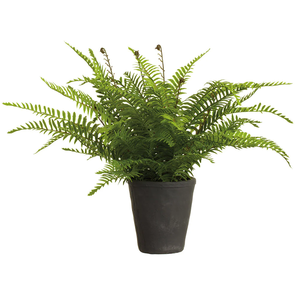 18.5" PE Soft-Touch Boston Fern Leaf Artificial Plant w/Cement Pot -Green (Pack of 2)