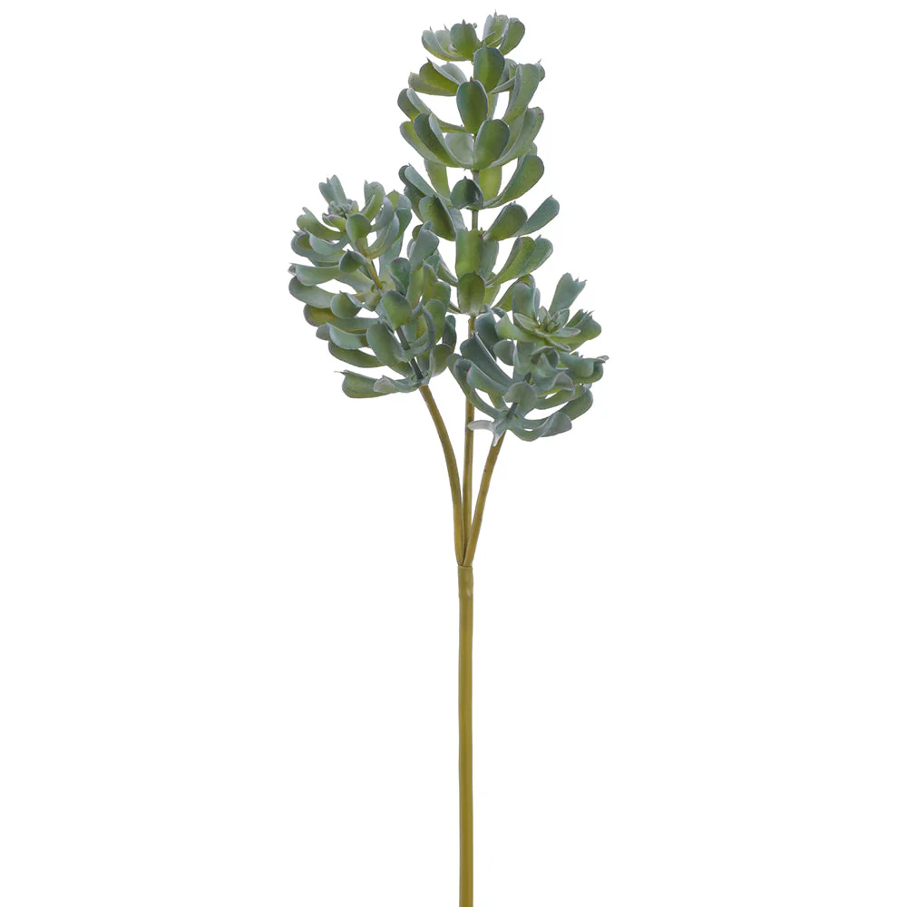 18" Aeonium Succulent Artificial Stem Pick -Green/Gray (Pack of 12)