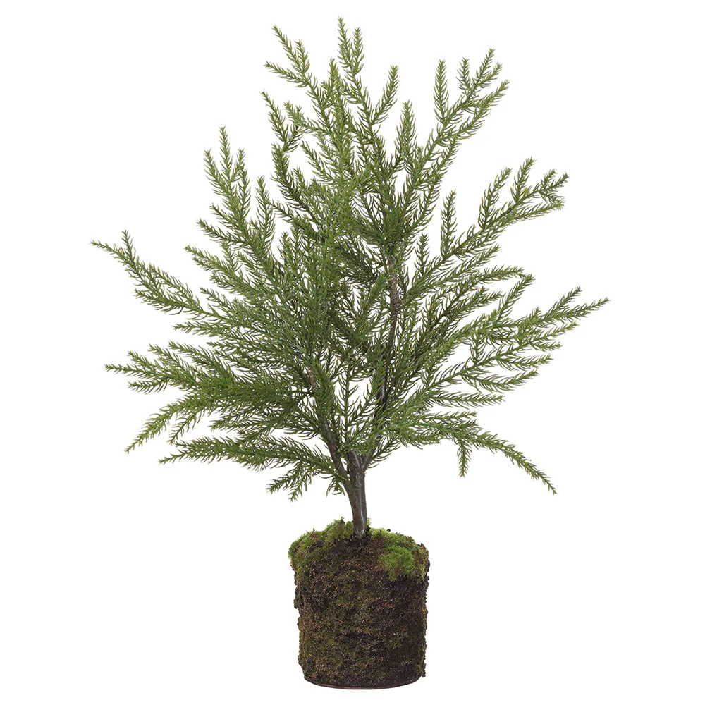 18" Artificial Spruce Tree w/Soil & Moss -Green (Pack of 4)