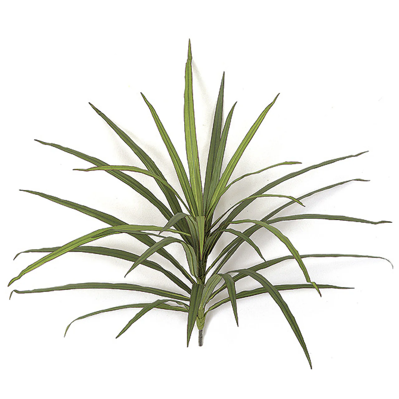 18" Dracaena Head Silk Plant -Green/Red (Pack of 12)