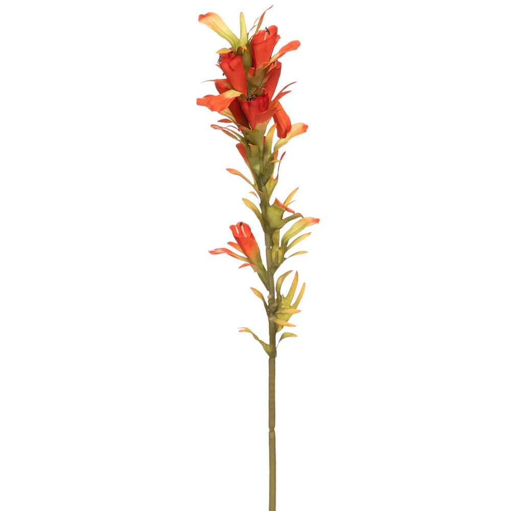 18" Indian Paintbrush Silk Flower Stem -Flame (Pack of 12)
