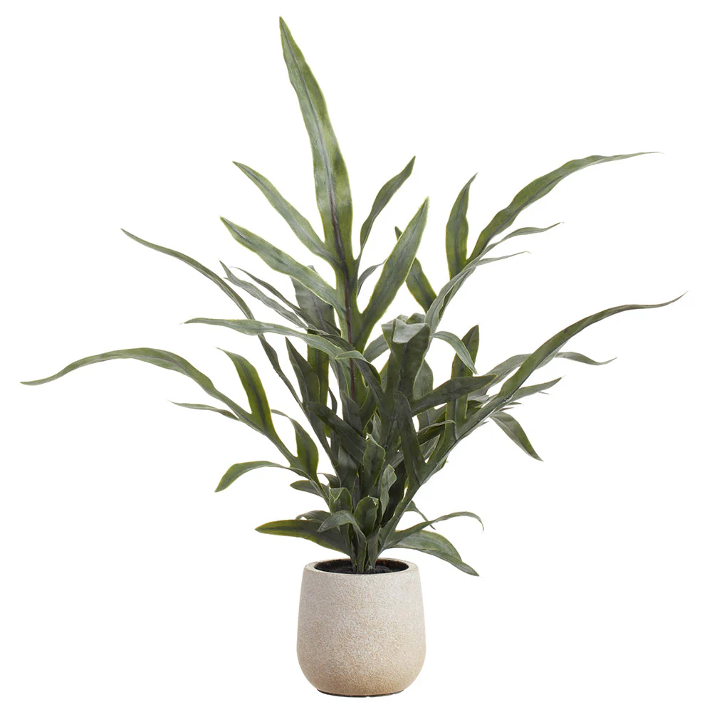 18" Java Fern Leaf Silk Plant w/Plastic Pot -Green (Pack of 6)