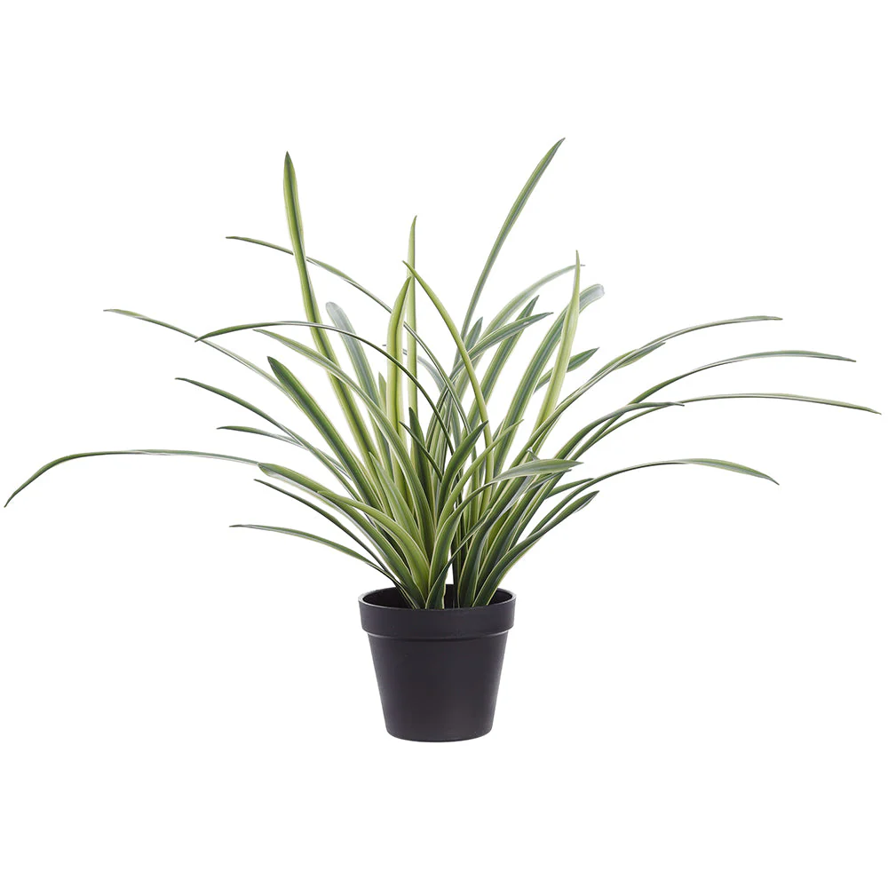 18" Lily Turf Grass Artificial Plant w/Plastic Pot -Green/Variegated (Pack of 6)