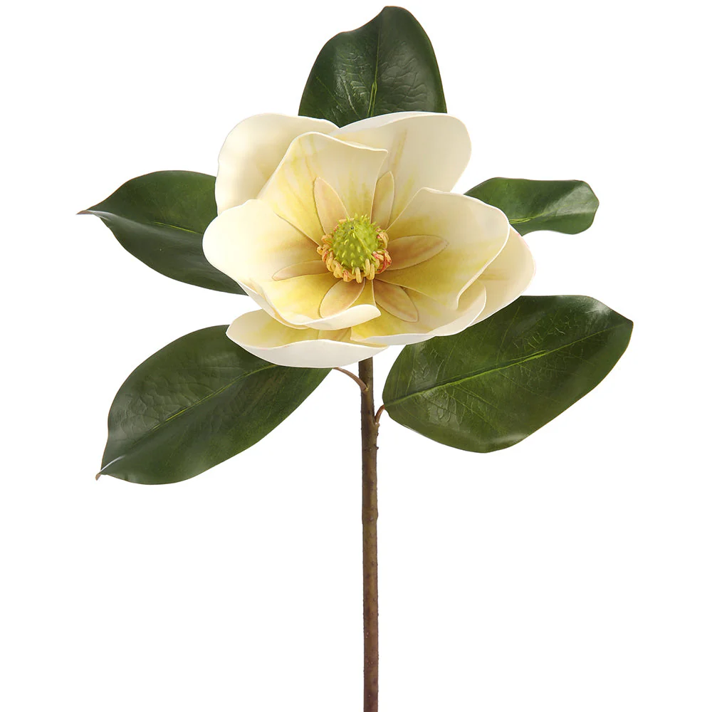 18" Magnolia Silk Flower Stem -Cream/Green (Pack of 6)