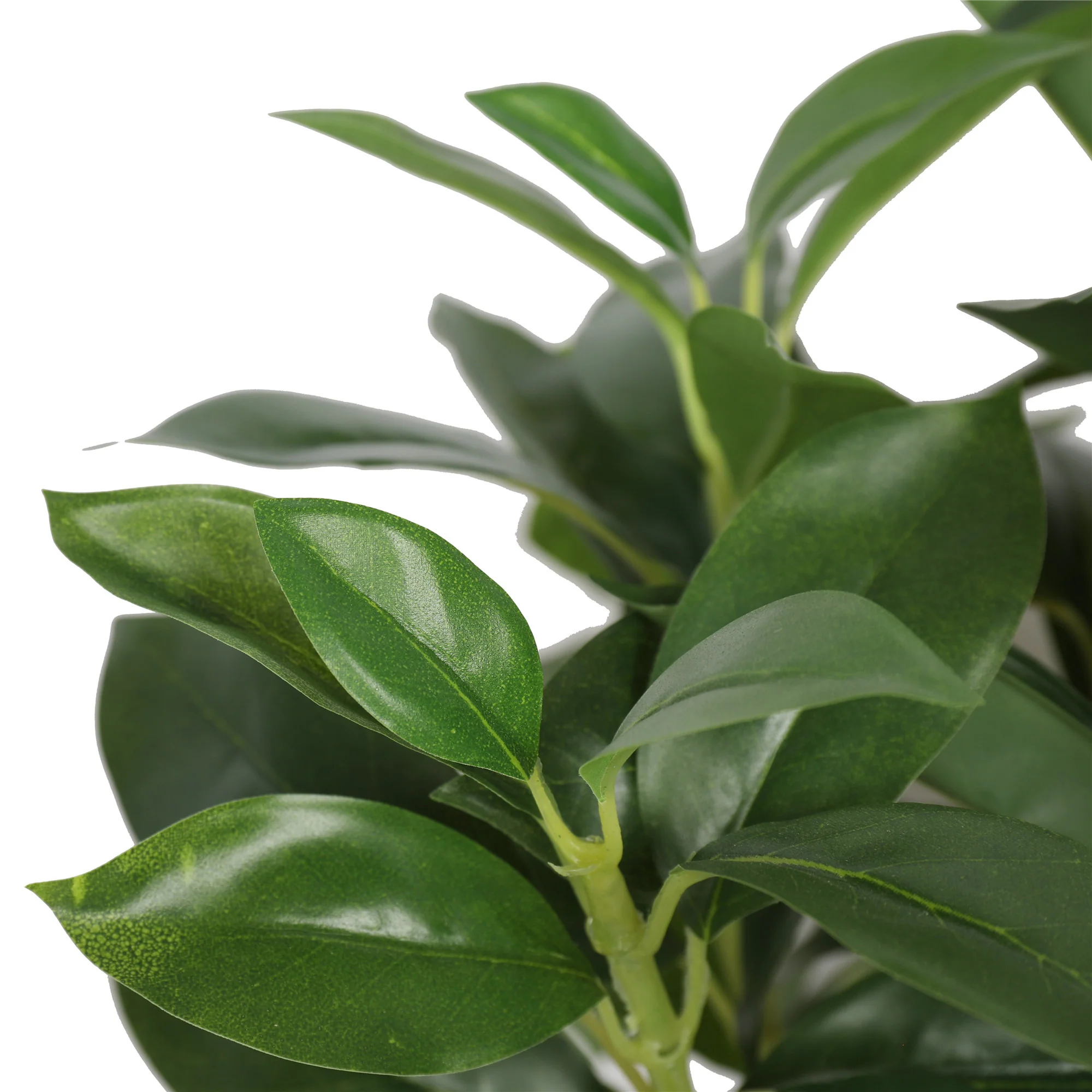 18" Silk Money Leaf Bonsai Plant w/Planter -Green - Image 3