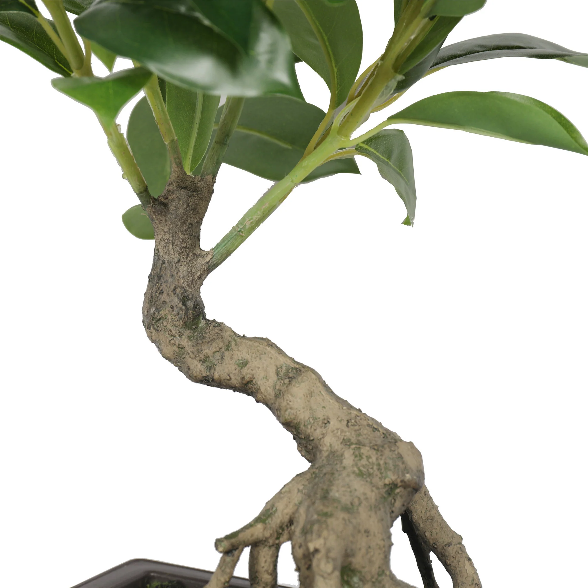 18" Silk Money Leaf Bonsai Plant w/Planter -Green - Image 4
