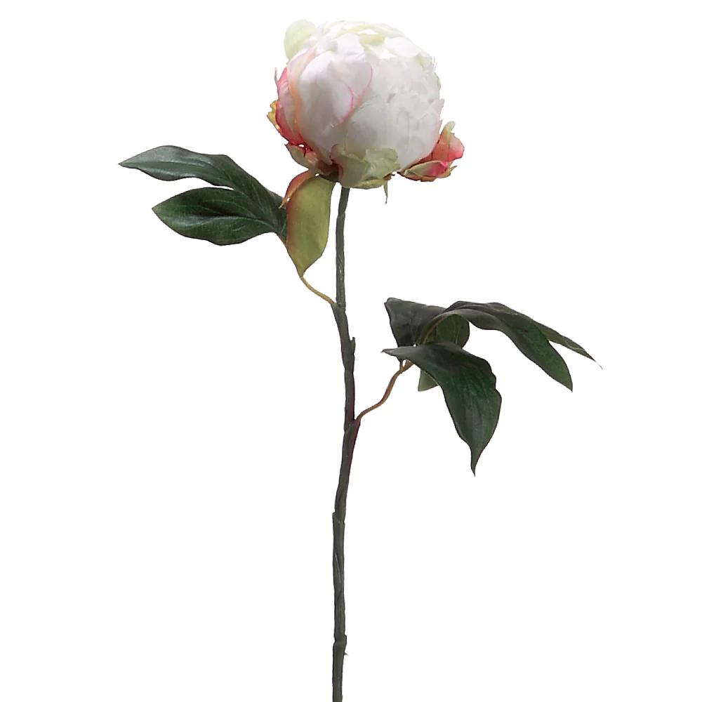 18" Silk Peony Bud Flower Spray -Cream (Pack of 12)