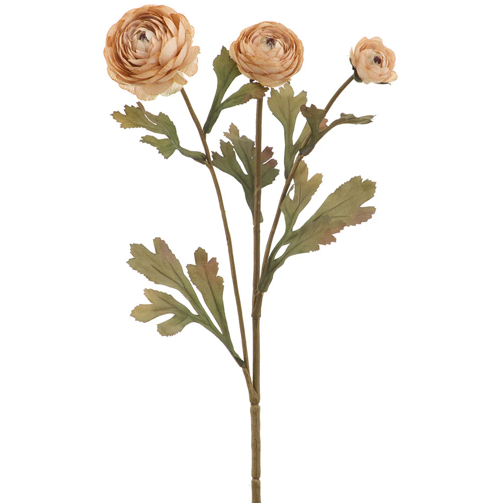 19.5" Ranunculus Silk Flower Stem -Beige (Pack of 12)