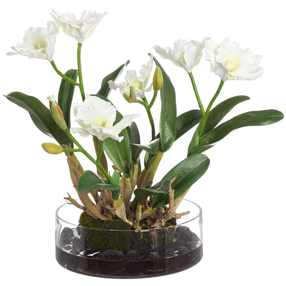 19.5"Hx22"W Cattleya Orchid Silk Flower Arrangement w/Glass Vase -White