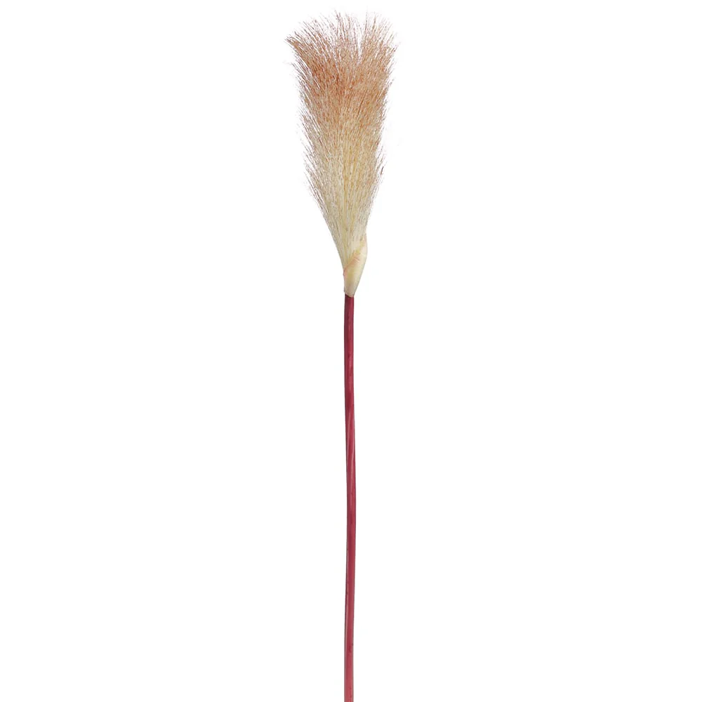 19" Artificial Pampas Grass Stem -Beige (Pack of 12)