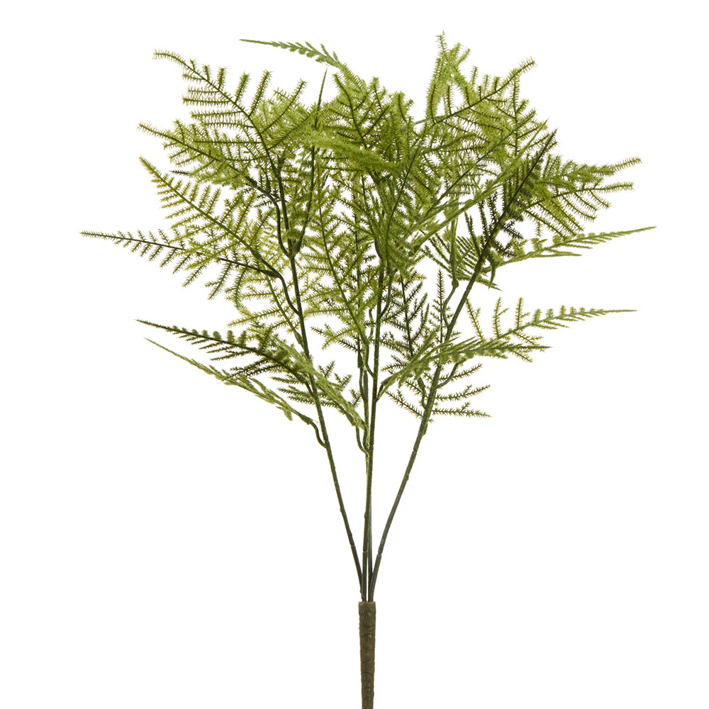 19" Asparagus Fern Leaf Silk Plant -Green (Pack of 24)