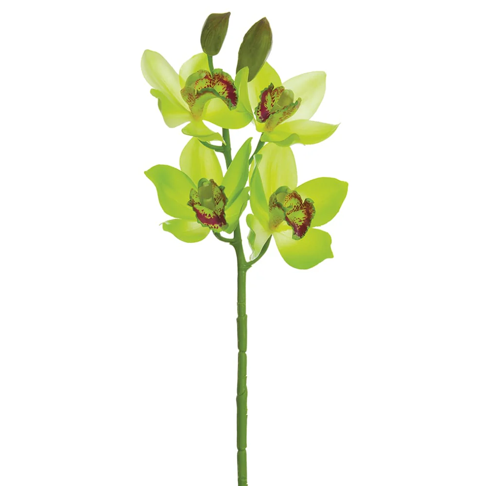 19" Hand-Wrapped Cymbidium Orchid Silk Flower Stem -Green/Burgundy (Pack of 12)