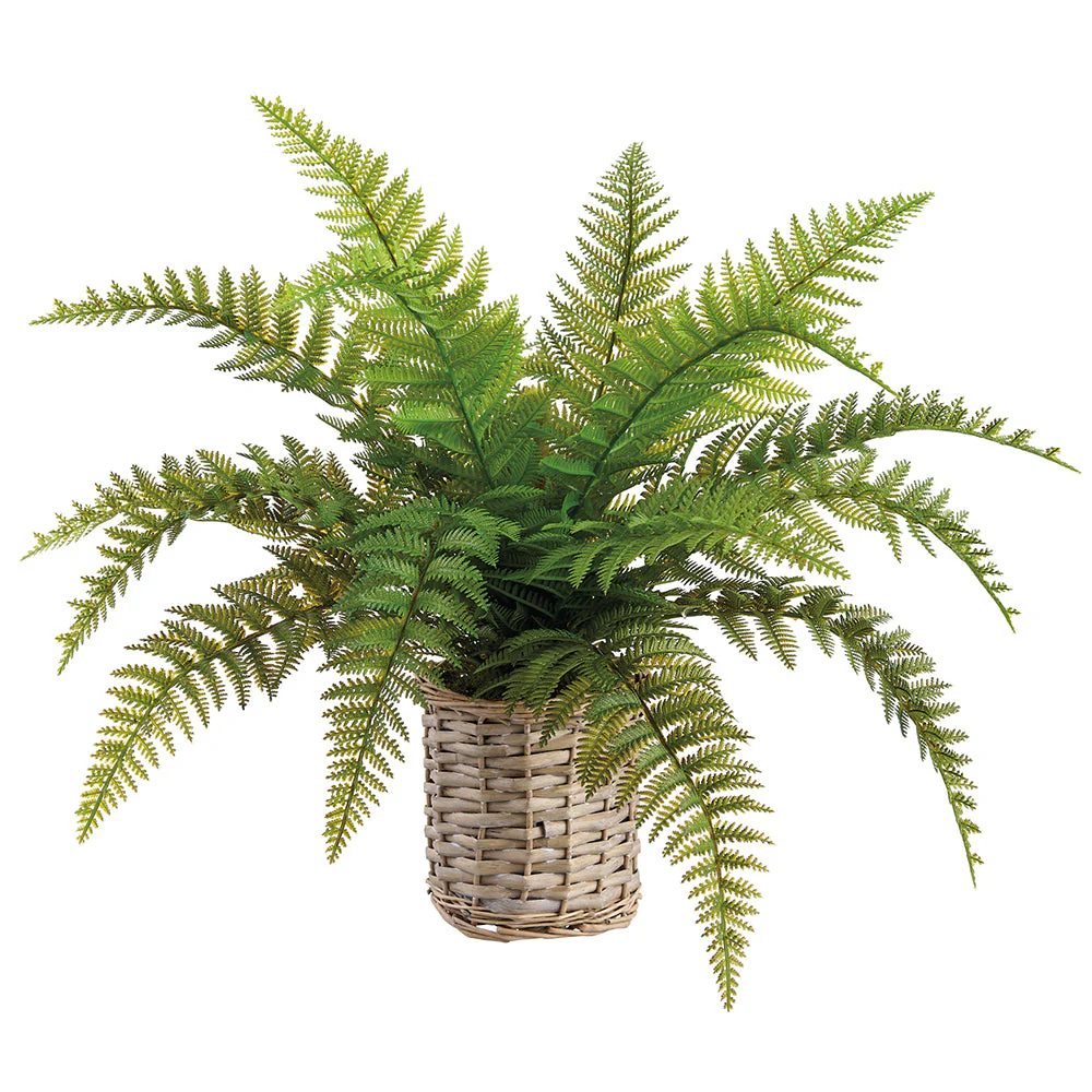 19" Leather Fern Artificial Plant w/Basket -Green (Pack of 4)