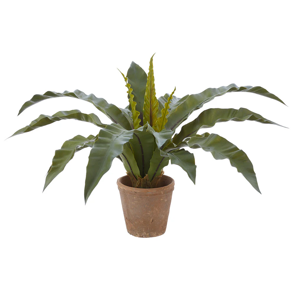 19" PE Soft-Touch Bird's Nest Fern Artificial Plant w/Clay Pot -Green (Pack of 2)