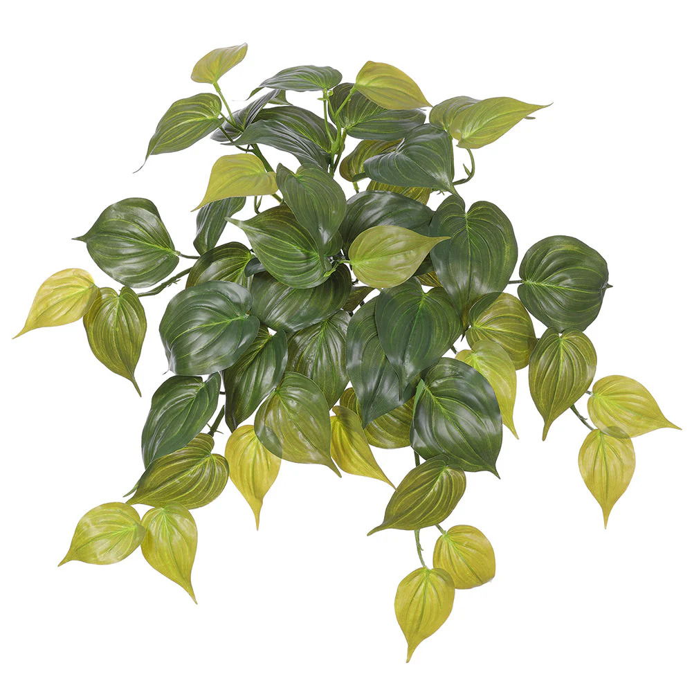 19" Real Touch Hanging Philodendron Micans Leaf Silk Plant -2 Tone Green (Pack of 12)