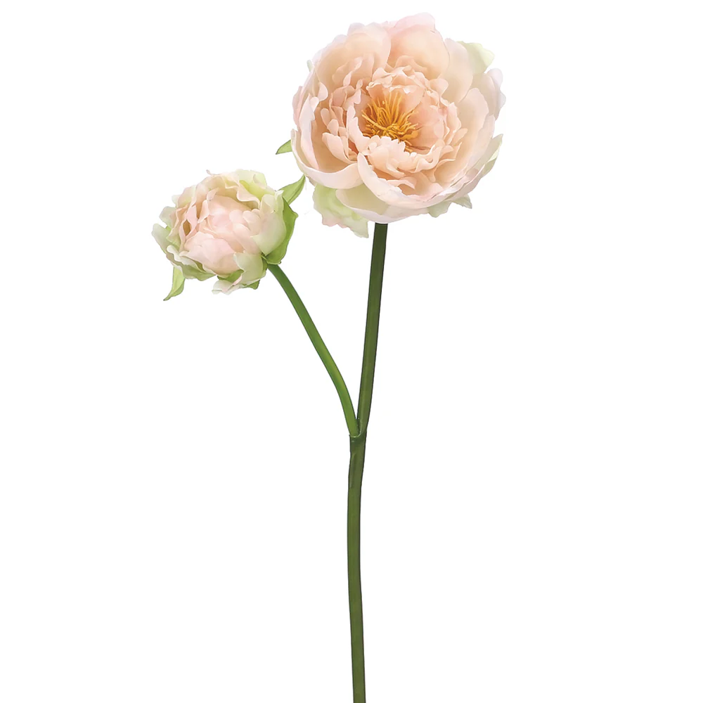 19" Silk Peony Flower Stem -Soft Pink (Pack of 12)