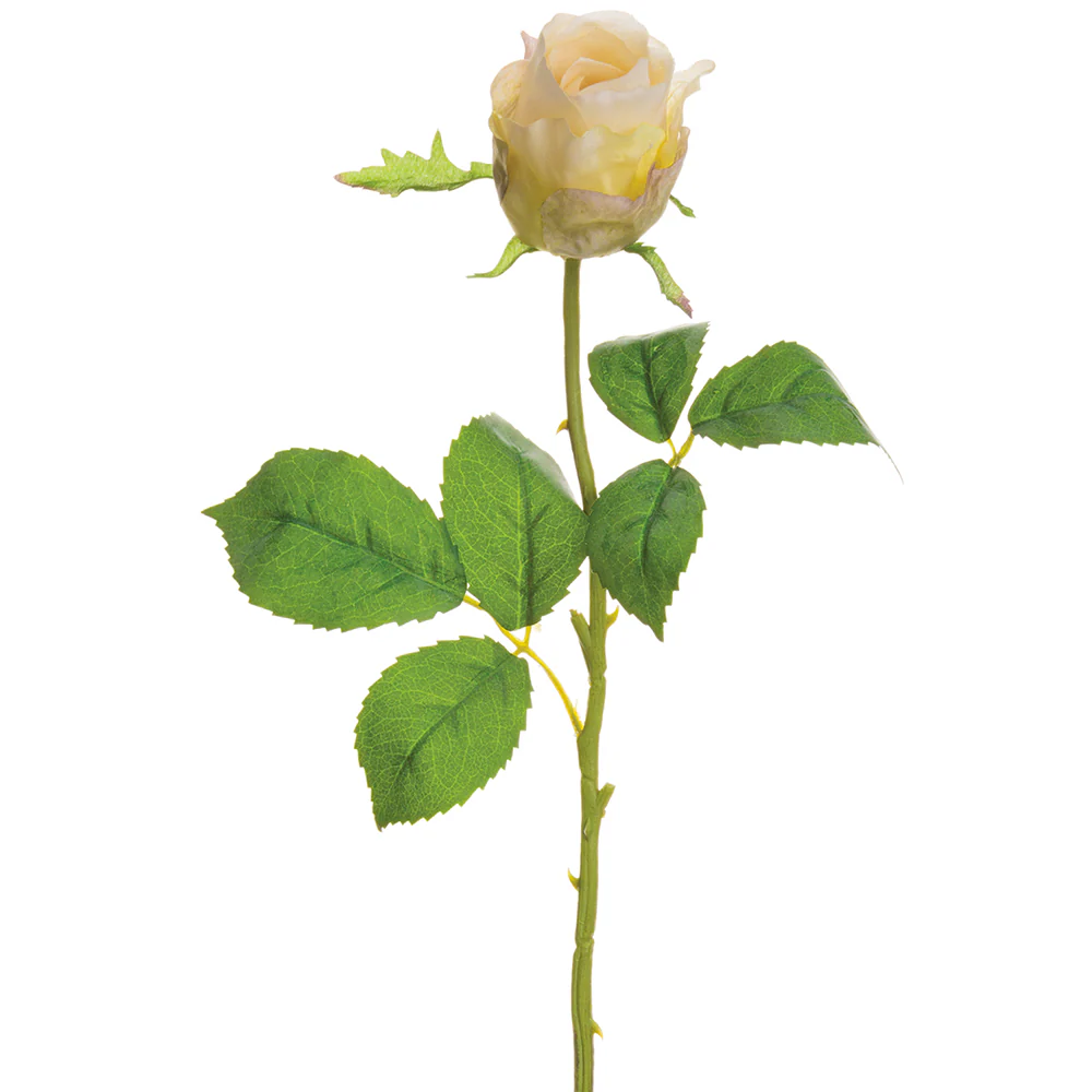 19" Silk Rose Bud Flower Stem -Beige/Green (Pack of 12)