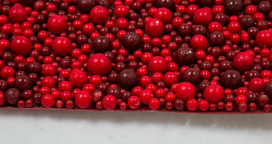 19"x19" Styrofoam Berry Artificial Mat -Red (Pack of 12) - Image 3
