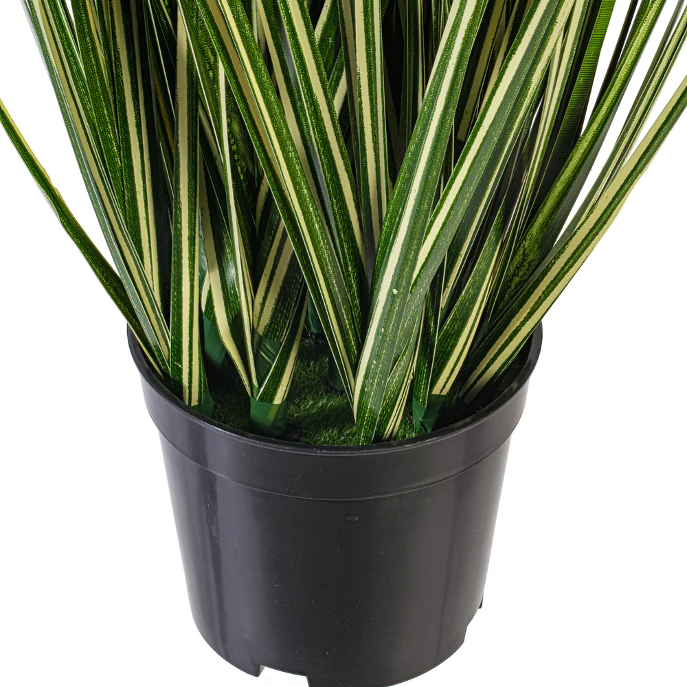 2' Outdoor UV-Resistant Artificial Evergold Grass Plant w/Pot -Green/Cream (Pack of 2) - Image 2