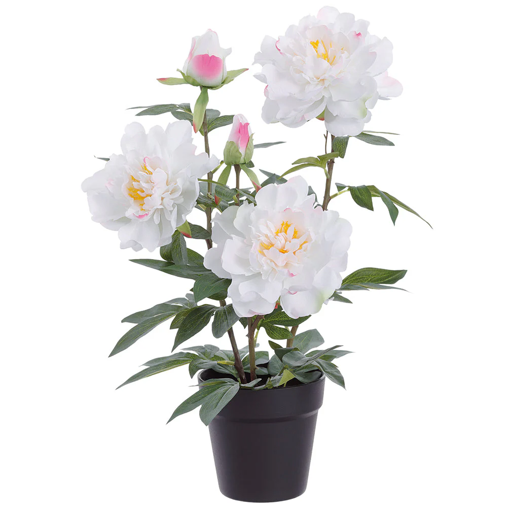 20.5" Peony Silk Flower Arrangement w/Plastic Pot -White (Pack of 4)