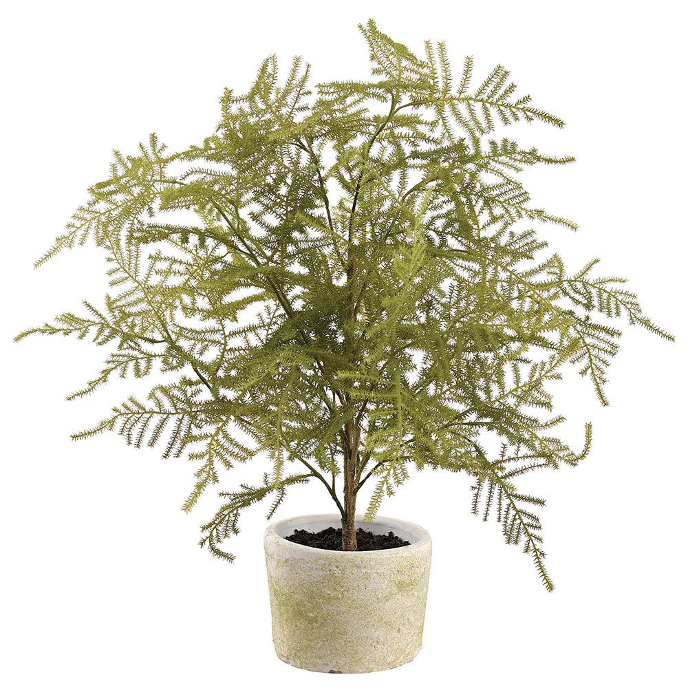 20" Asparagus Fern Artificial Plant w/Clay Pot -Green (Pack of 4)