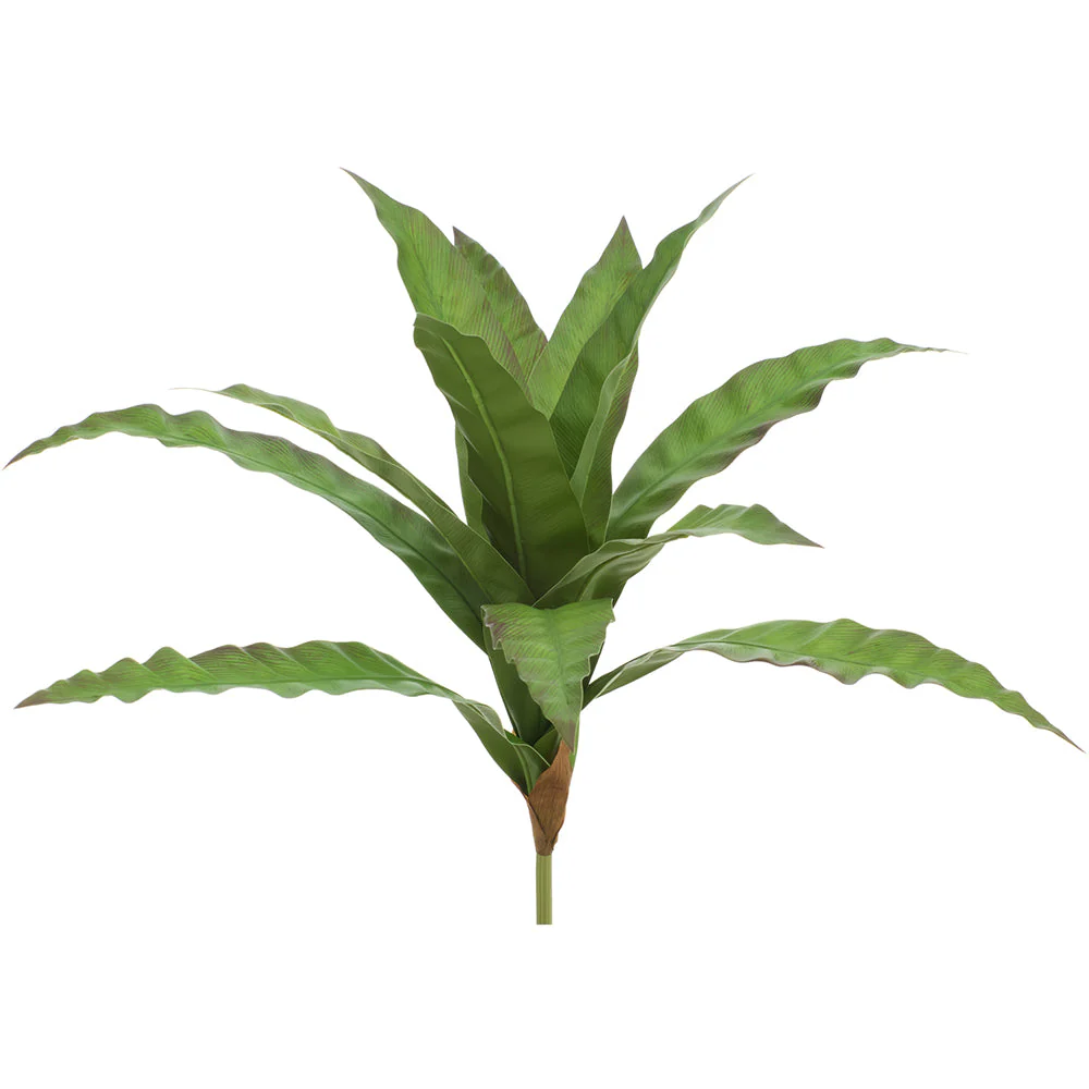 20" Bird's Nest Fern Leaf Silk Plant -Green/Brown (Pack of 12)