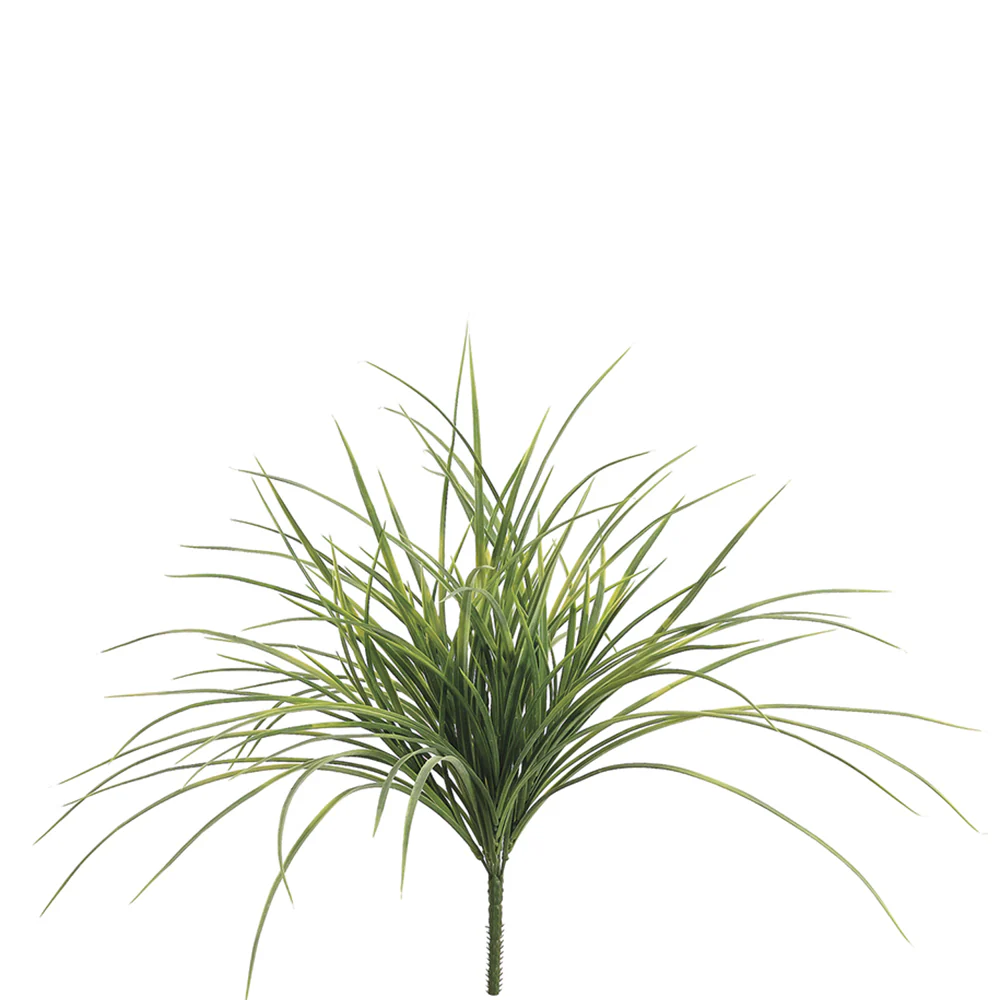 20" Grass Silk Plant -Green (Pack of 24)