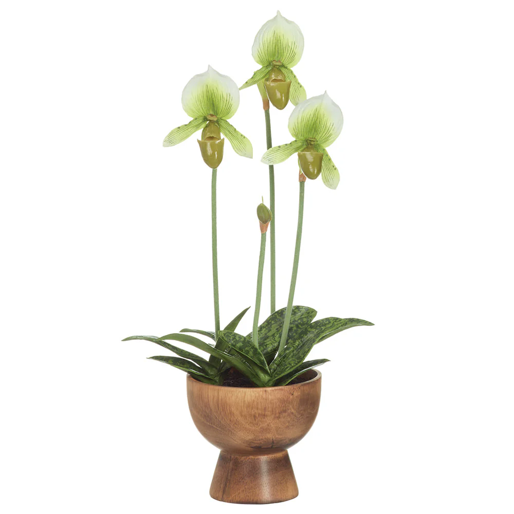 20" Hand-Wrapped Lady's Slipper Orchid Artificial Flower Arrangement w/Wood Planter -Cream/Green