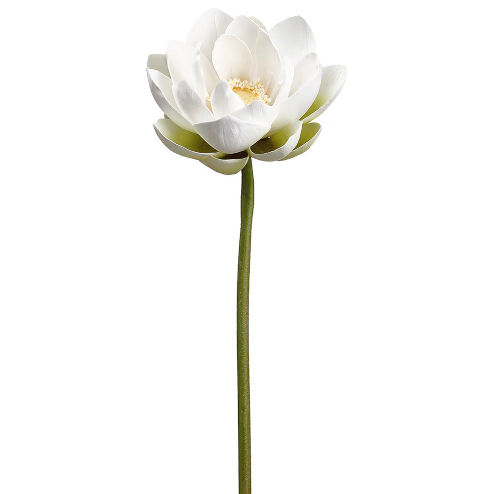 20" Lotus Silk Flower Stem -White (Pack of 6)
