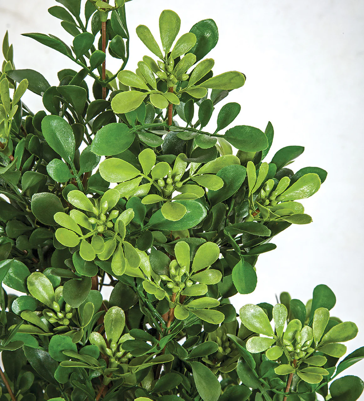 20" Outdoor UV-Proof Artificial Boxwood Plant -Green (Pack of 4) - Image 2