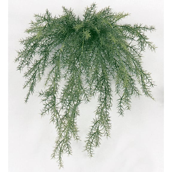 20" Outdoor UV-Proof Artificial Sprengeri Fern Hanging Plant -Green (Pack of 12)