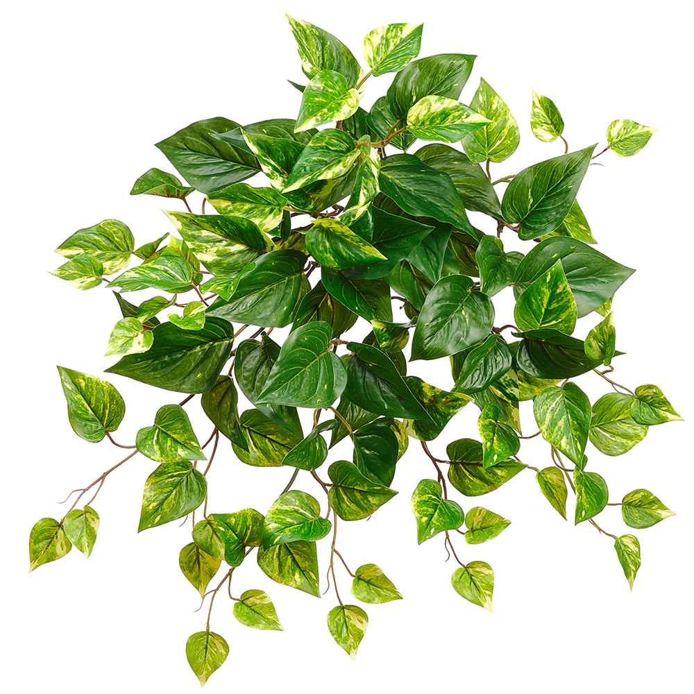20" Outdoor UV-Resistant Artificial Hanging Pothos Plant -Green/White (Pack of 12)