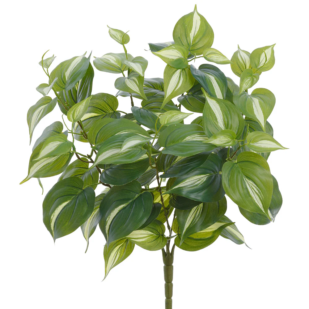 20" Philodendron Leaf Silk Plant -Green/White (Pack of 6)