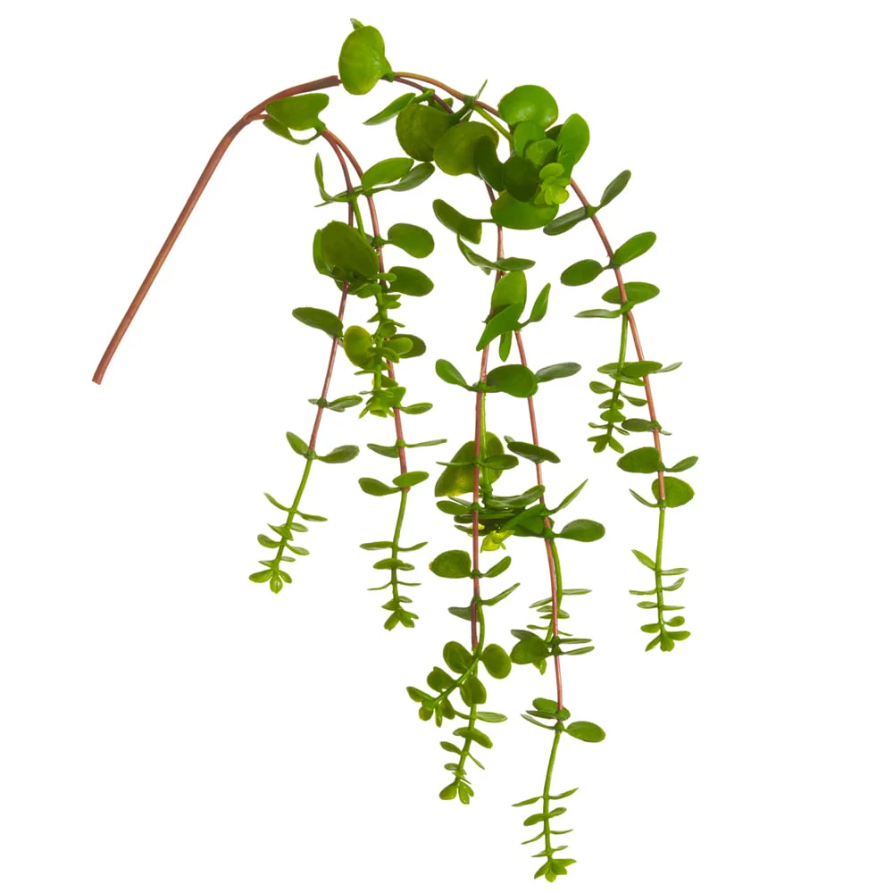 20" Real Touch Hanging Artificial Dischidia Ant Plant Stem -Green (Pack of 12)