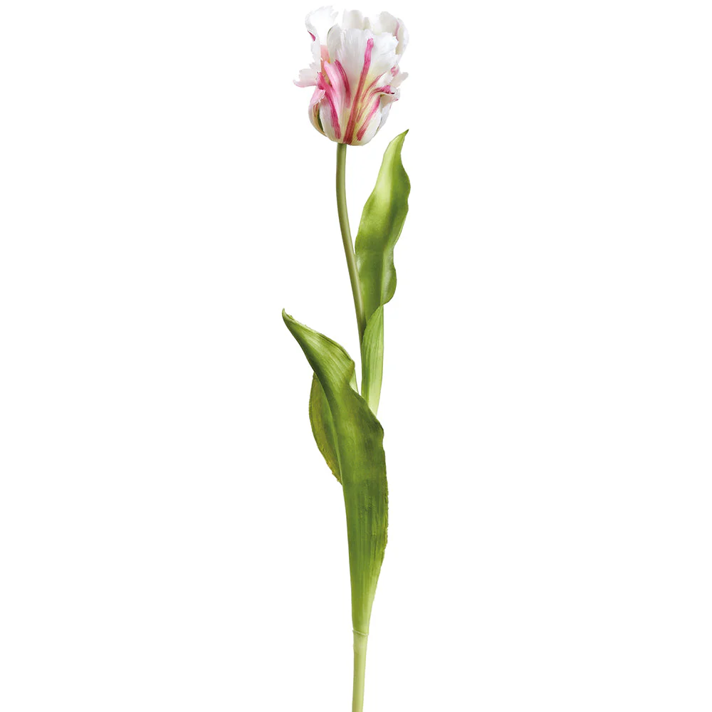 20" Real Touch Tulip Silk Flower Stem -White/Boysenberry (Pack of 12)