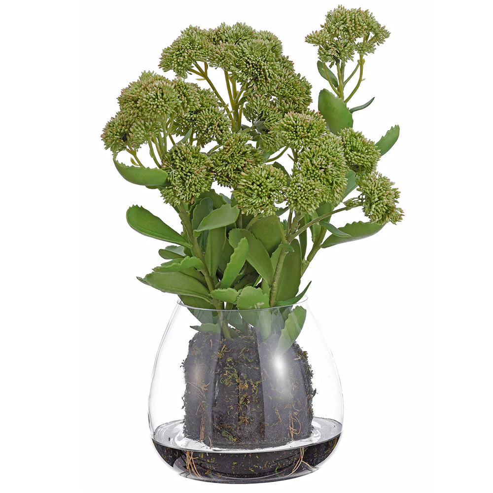 20" Sedum Silk Flower Arrangement w/Glass Vase -Green