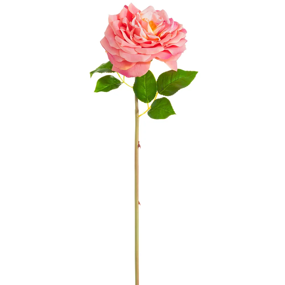 20" Silk Open Cabbage Rose Flower Stem -2 Tone Rose (Pack of 12)