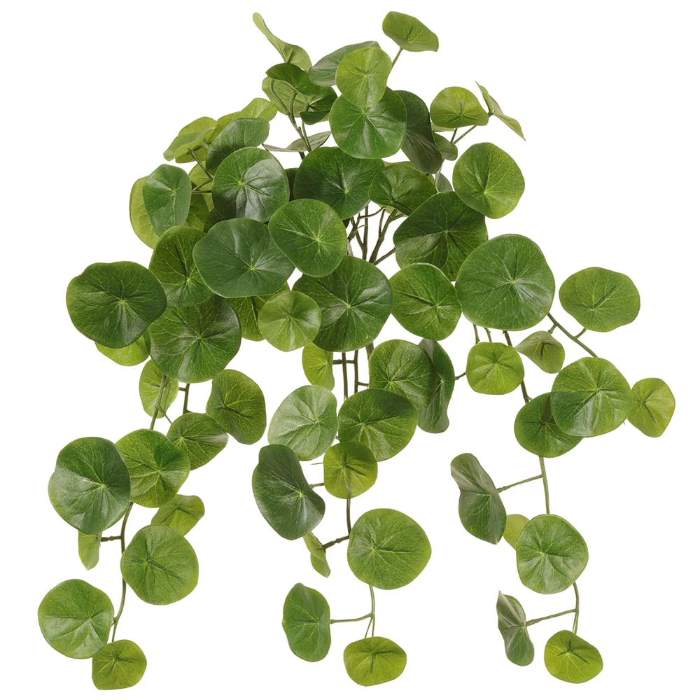 20" Stephania Erecta Leaf Silk Plant -Green (Pack of 6)