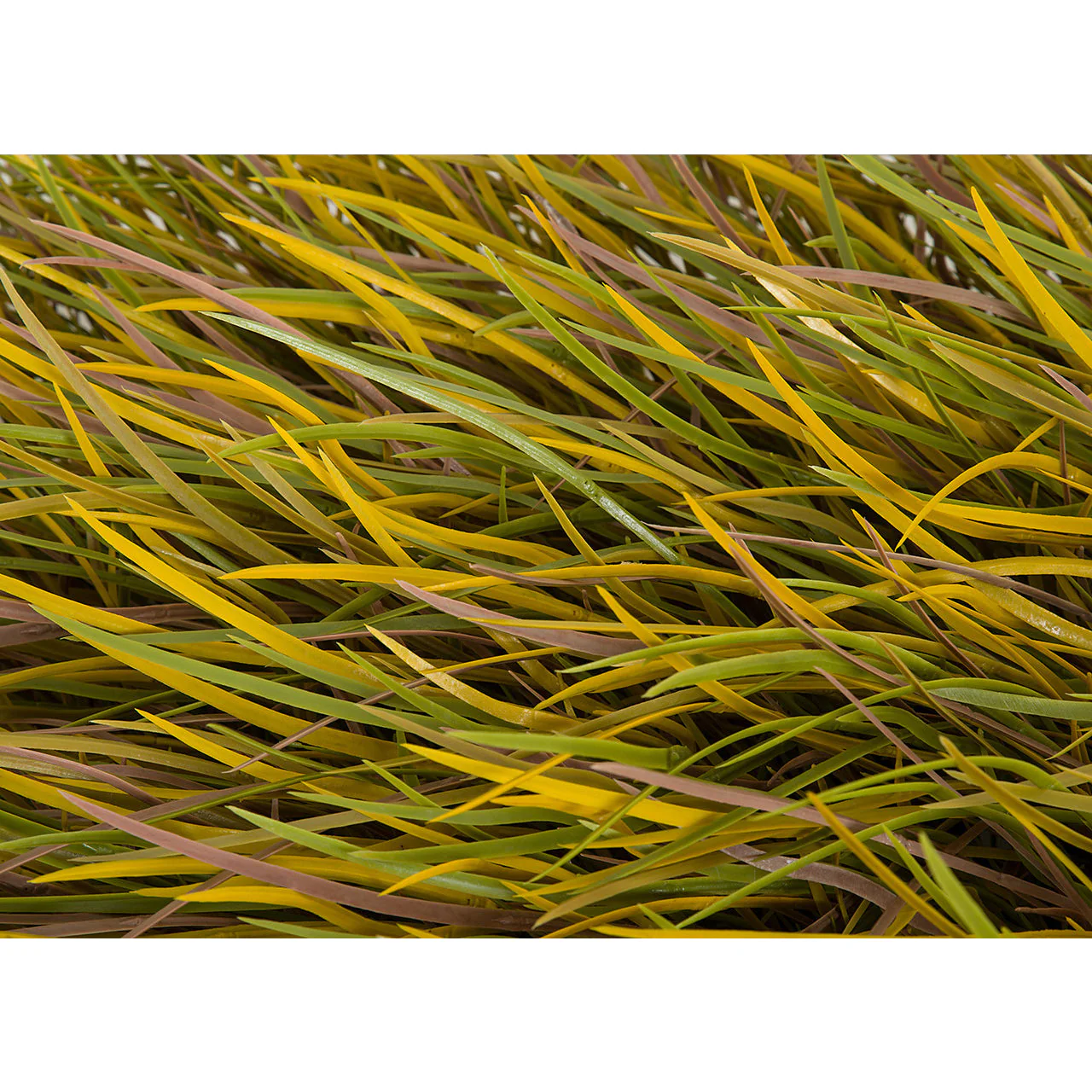 20"x20" Outdoor UV-Proof Artificial Autumn Dune Grass Mat -Yellow/Green (Pack of 2) - Image 3