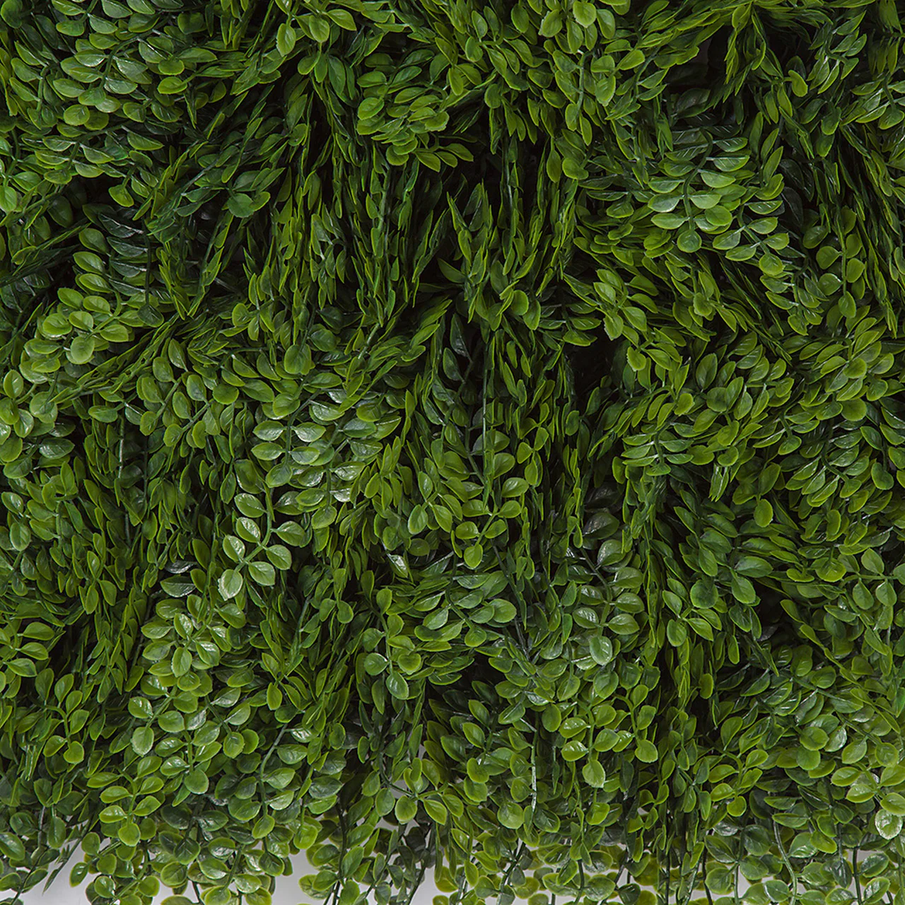 20"x20" Outdoor UV-Proof IFR Artificial Button Fern Mat -Green (Pack of 2) - Image 2