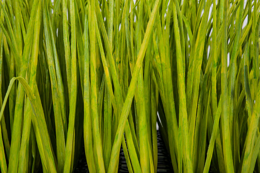 20"x20"x14" Outdoor UV-Proof Artificial Meadow Grass Mat -Green/Yellow (Pack of 2) - Image 2